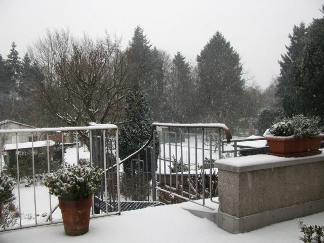 Snowy Snowy